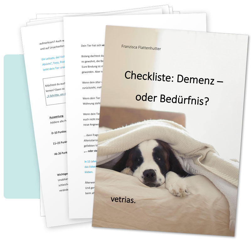 Titelseite einer Broschüre mit dem Titel „Checkliste: Demenz – oder Bedürfnis?“, auf der ein Hund zu sehen ist, der unter einer Decke ruht. Dahinter folgen zwei Seiten mit Text und Anmerkungen für die Tiergesundheit mit Demenz.