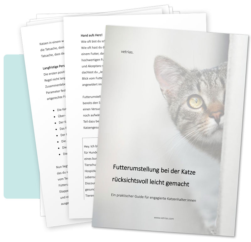 Ein Guide mit dem Foto einer grauen getigerten Katze und einem deutschen Text über die Futterumstellung von Katzen, wobei der Schwerpunkt auf der Tiergesundheit liegt. Dahinter befinden sich weitere Seiten mit gedrucktem Text.